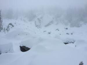 IMG_7049