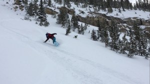 24373865159_db28f3b132_b